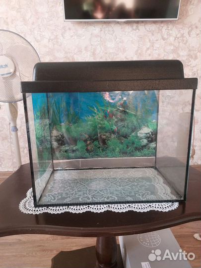Аквариум