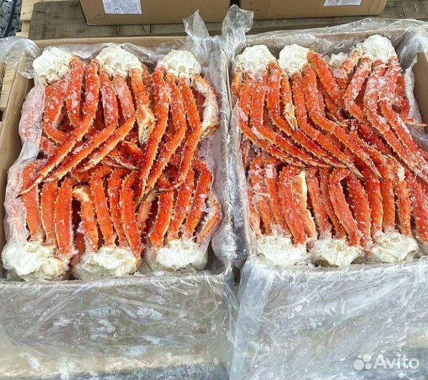 Конечности камчатского краба