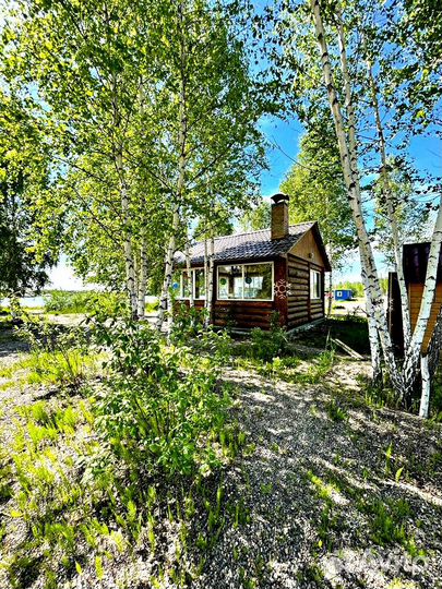 Теплая беседка до 20 человек