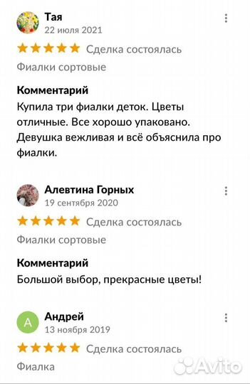 Комнатные цветы