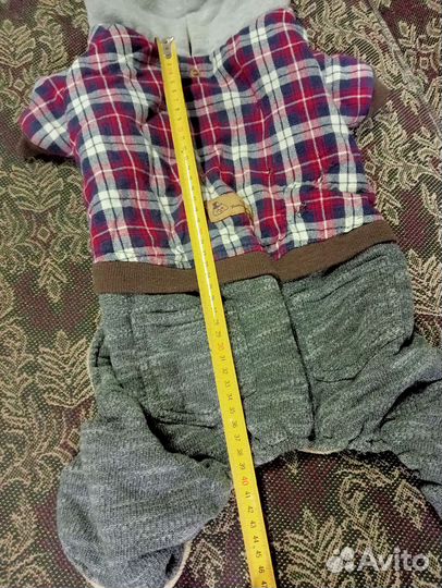 Одежда для собак