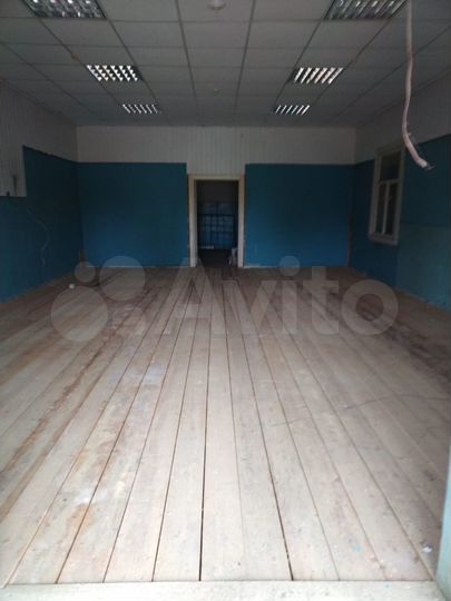Торговая площадь 65,3 м²