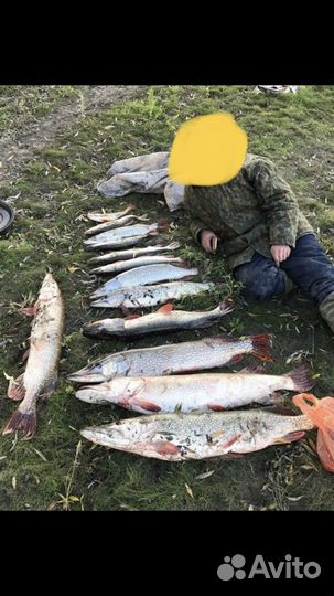 Лодка с мотором