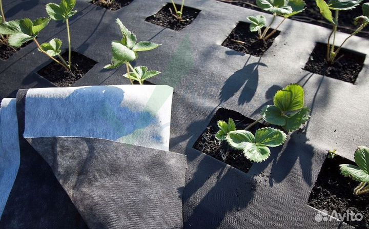 Геотекстиль