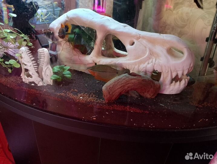 Декорации для аквариума