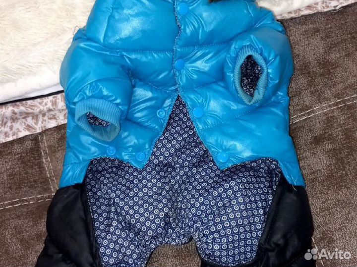 Комбинезон для маленькой собаки