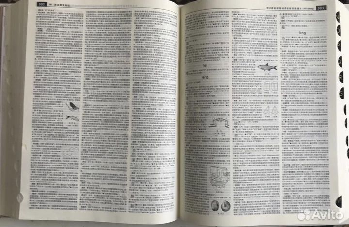 Китайский энциклопедический словарь Цыхай