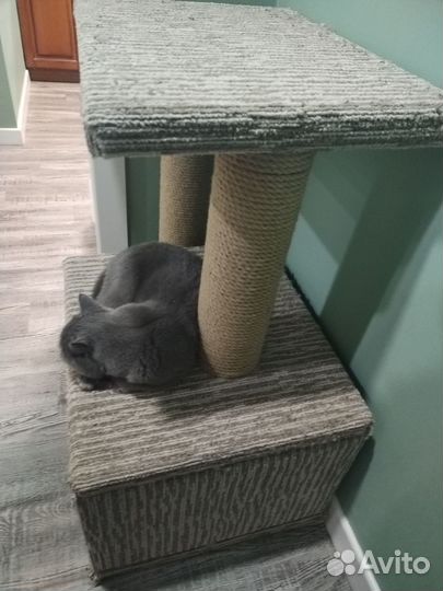 Домик для кошки большой и качественный