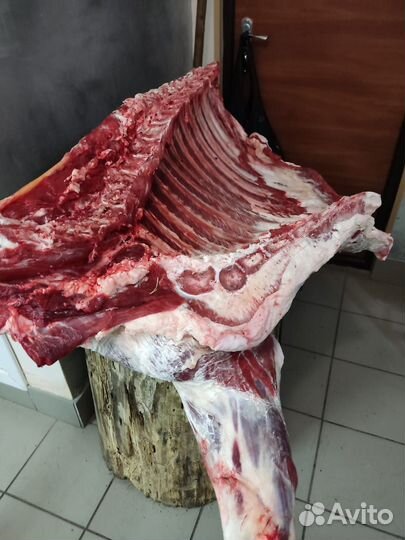 Продам мясо говядина