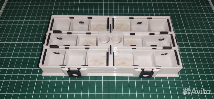 Модульный Формикарий