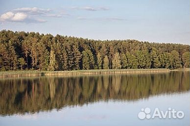 Санаторий Поречье под Гродно. Лечебный пакет