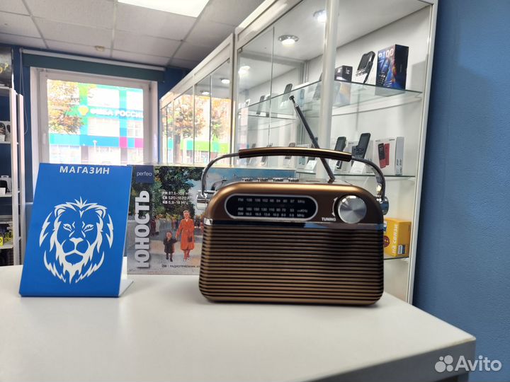 Радиоприемник Perfeo Юность новый (Вр80)