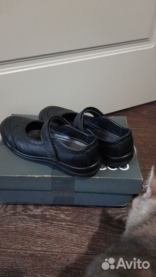 Туфли- балетки ecco