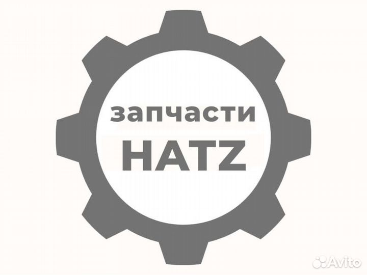Injector hatz (хатц) 02023700