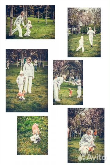 Фотографирую за еду