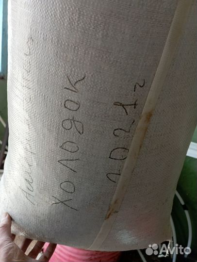 Семена арбуза холодок