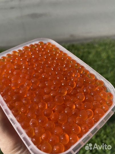 Красная икра горбуша