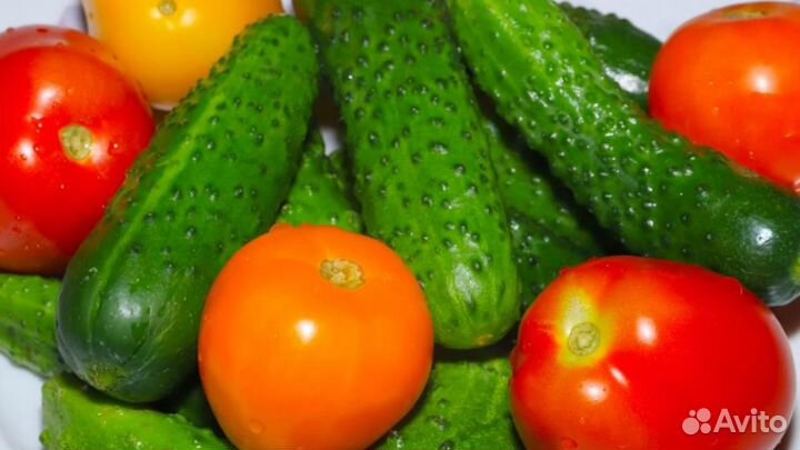 Работник теплицы Сборщик овощей вахта в Калуге