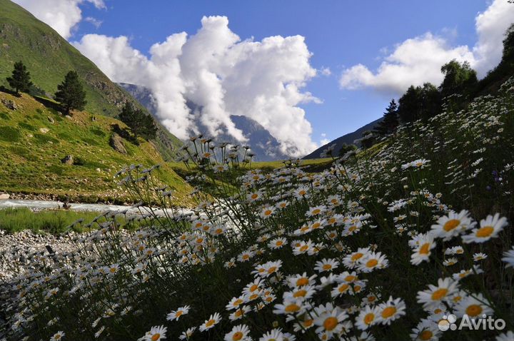 Экскурсия — Железноводск — «Здесь время замедляет