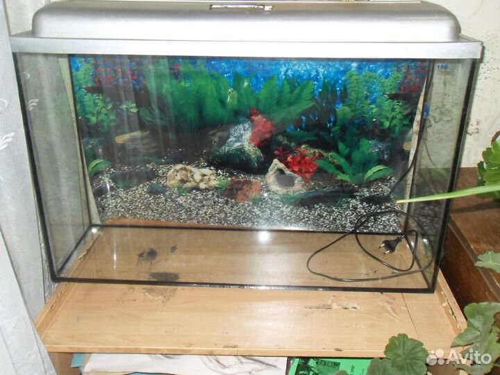 Аквариум