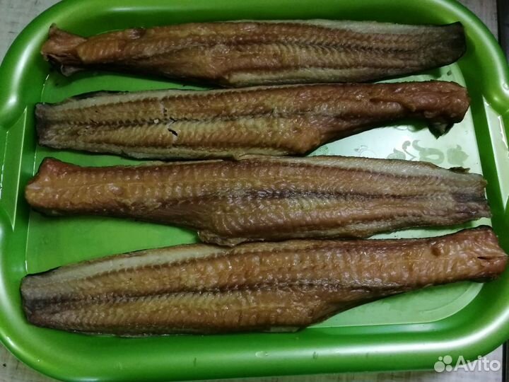 Сом африканский (мраморный, клариевый, кармут)