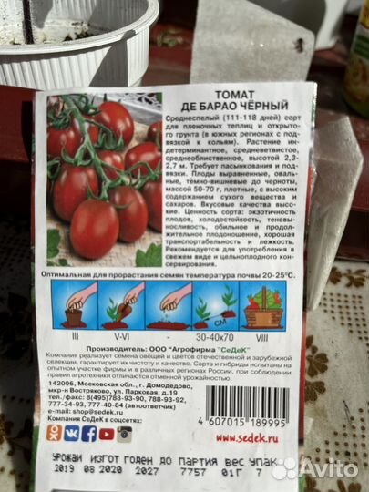 Томаты черные