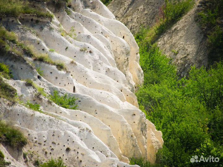 Экскурсия — Воронеж — Путешествие в Дивногорье — п