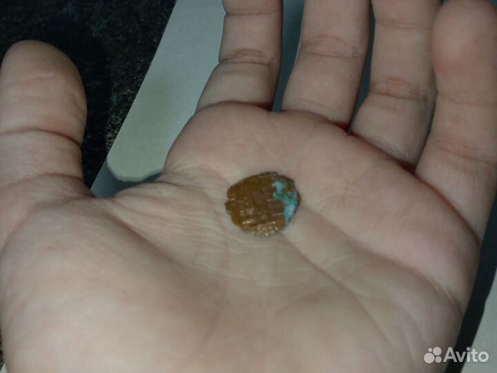 Дерхама татаро-монгольская, год не известно