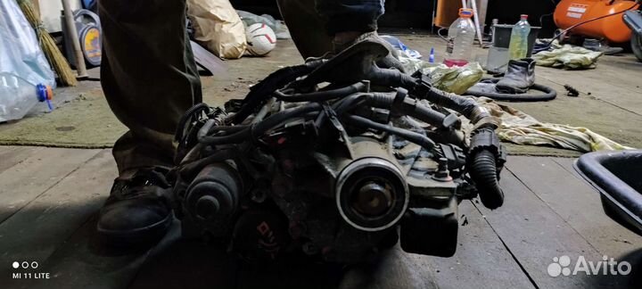 Ркпп Nissan Elgrant