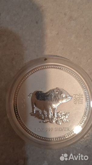 Серебряная монета год свиньи