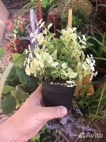 Искусственные цветы