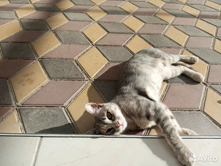 Хорошая девочка, в добрые руки