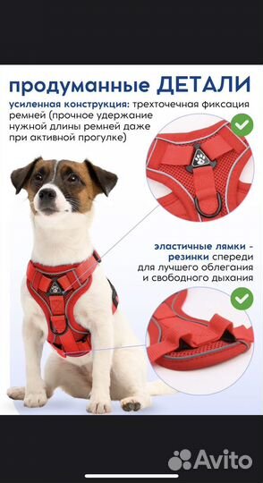 Шлейка для собаки