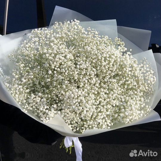 Букет из гипсофилы