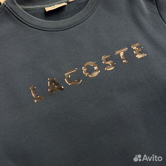 Свитшот Lacoste