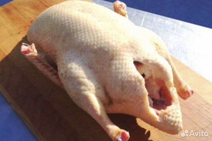 Мясо гуся, свежее мясо, копчёный гусь