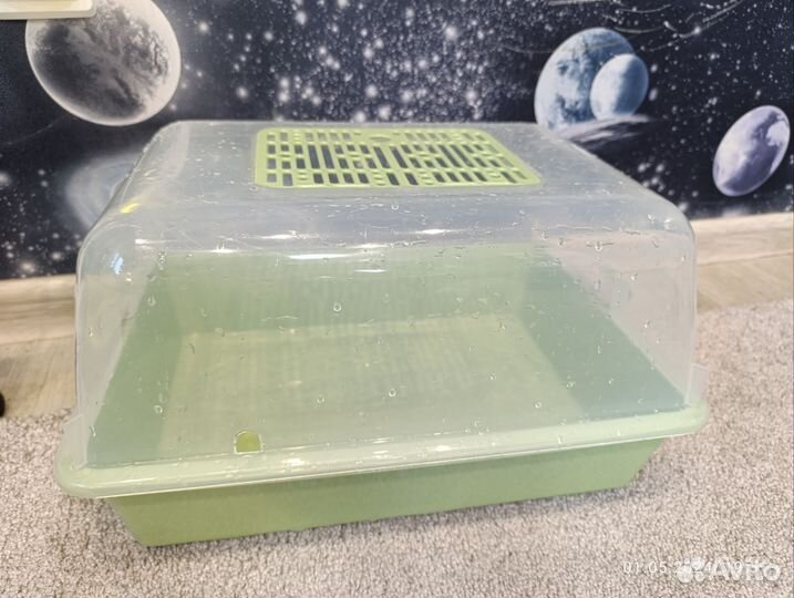 Террариум для красноухой черепахи