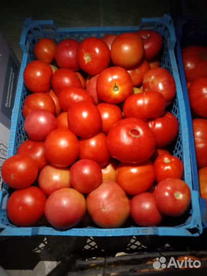 Помидоры