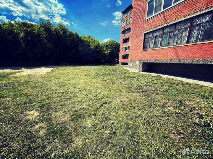 Покос травы