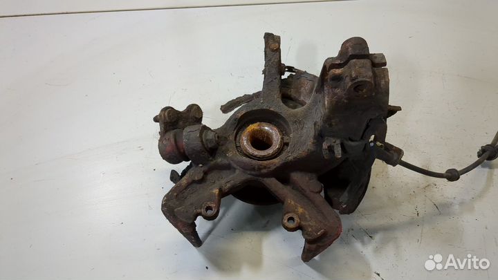 Ступица (кулак, цапфа) Skoda Roomster, 2015