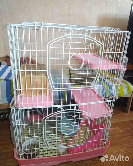 Шиншилла с клеткой