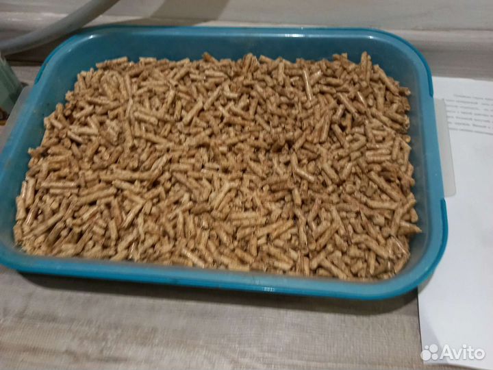 Бенгальская