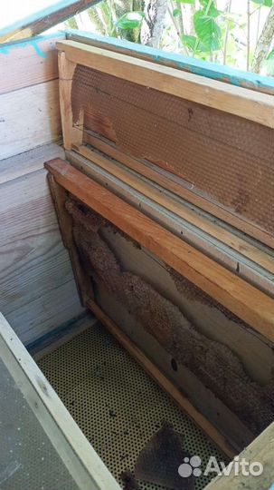 Улей для пчел