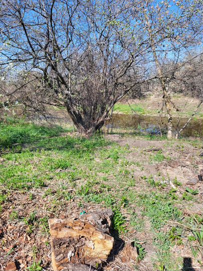 Участок 8,7 сот. (ИЖС)