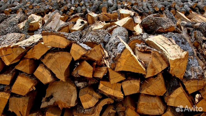 Дрова береза осина ольха