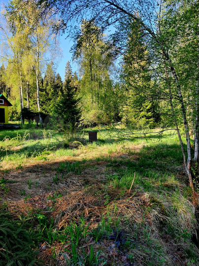 Участок 11 сот. (СНТ, ДНП)