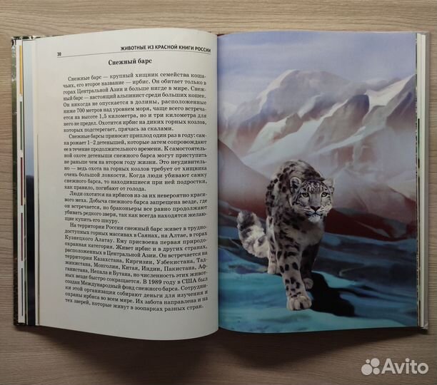 Детские книги энциклопедии