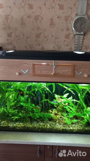 Аквариум