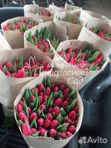 Тюльпаны к 8 марта оптом и в розницу объявление продам