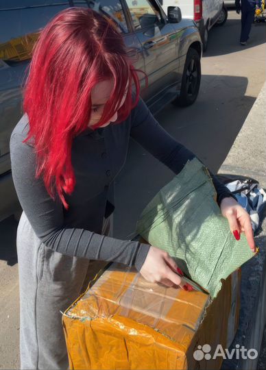 Обучение закупкам с Китая / Taobao / 1688 / Poizon